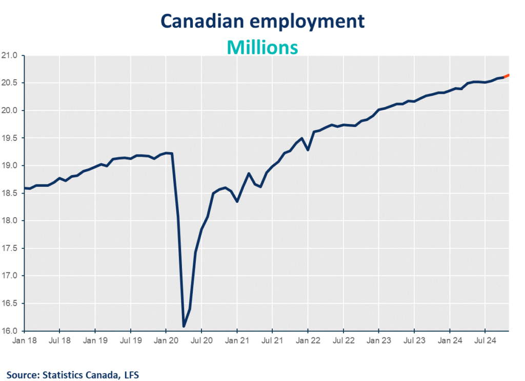 Labour Force Survey November 2024 Canadian unemployment rate surpasses