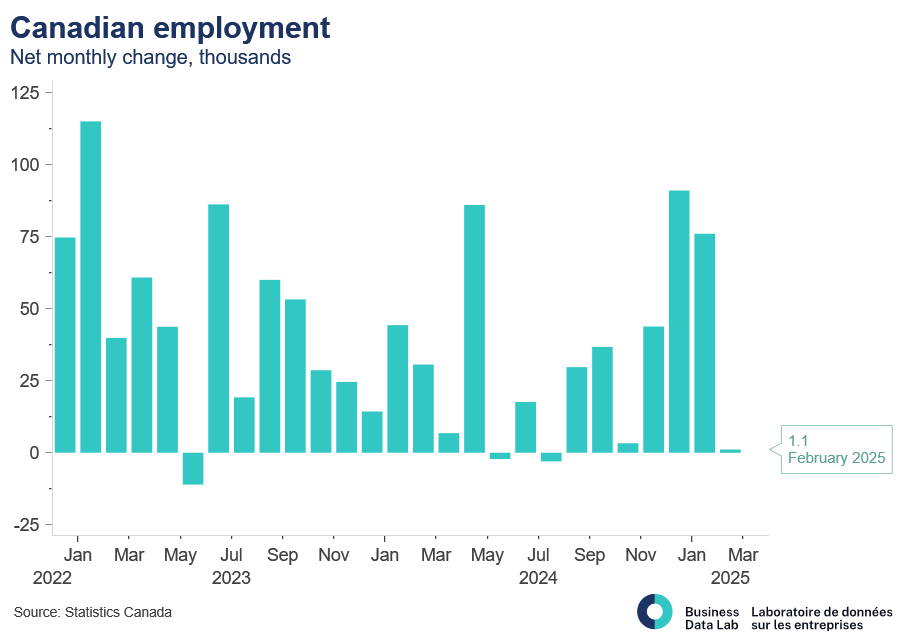 Labour Force Survey February 2025: Canada’s Labour Market on “Pause ...