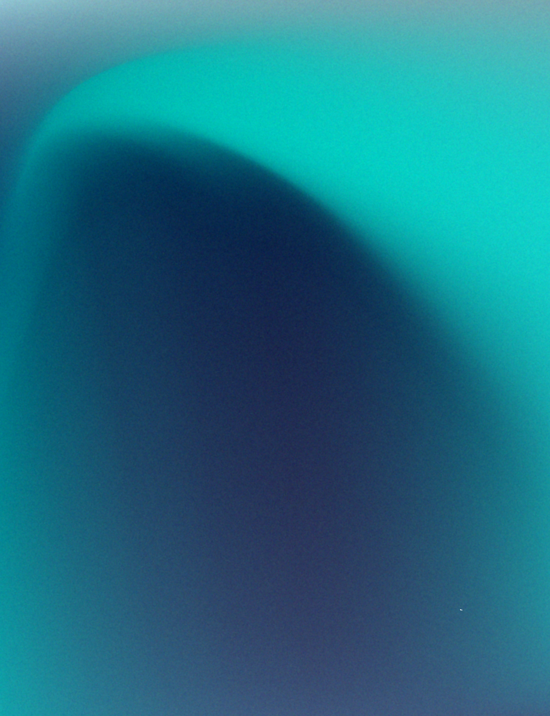 Budget 2025 hinges on high expectations for the business community