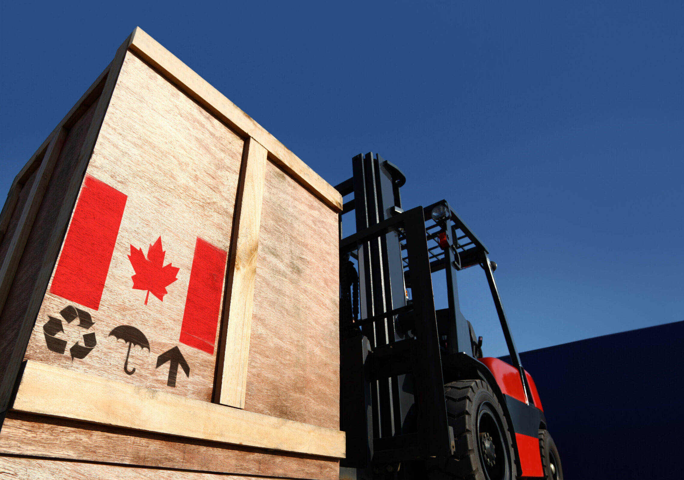 Record Exports Signal a Broader Trade Story: Merchandise Trade May 2026